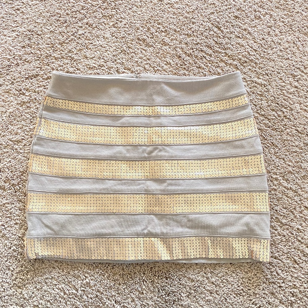 Express Mini Skirt